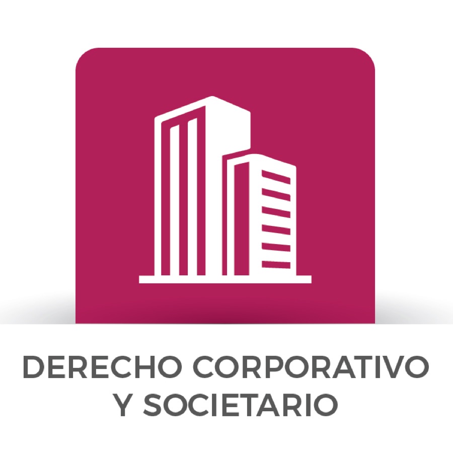 Derecho Corporativo y Societario