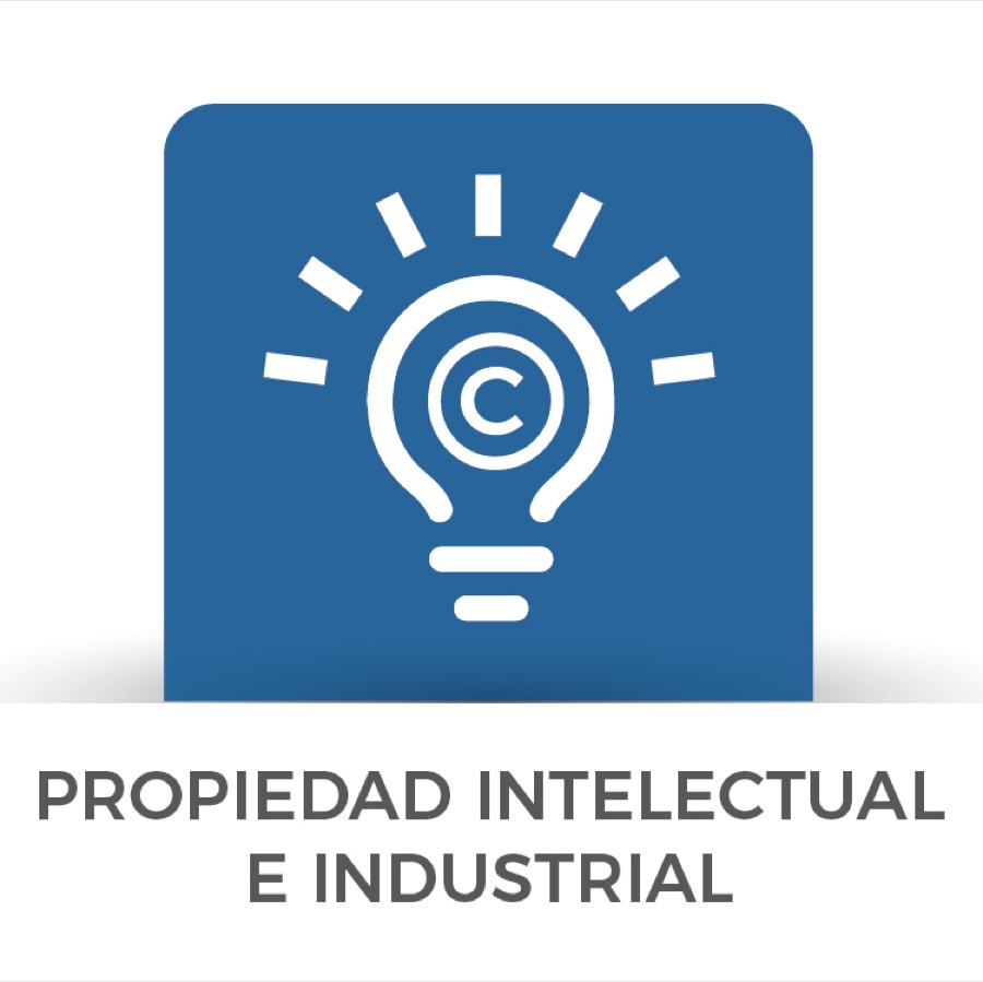 Propiedad Intelectual e Industrial